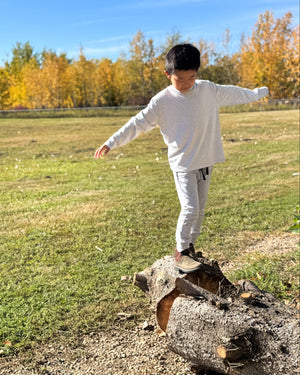 Basic Pullover Shirt