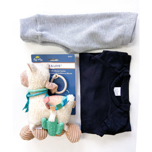 Baby Bundle Box - Posh & Cozy